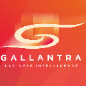 Компанія "Gallantra Business Intelligence"